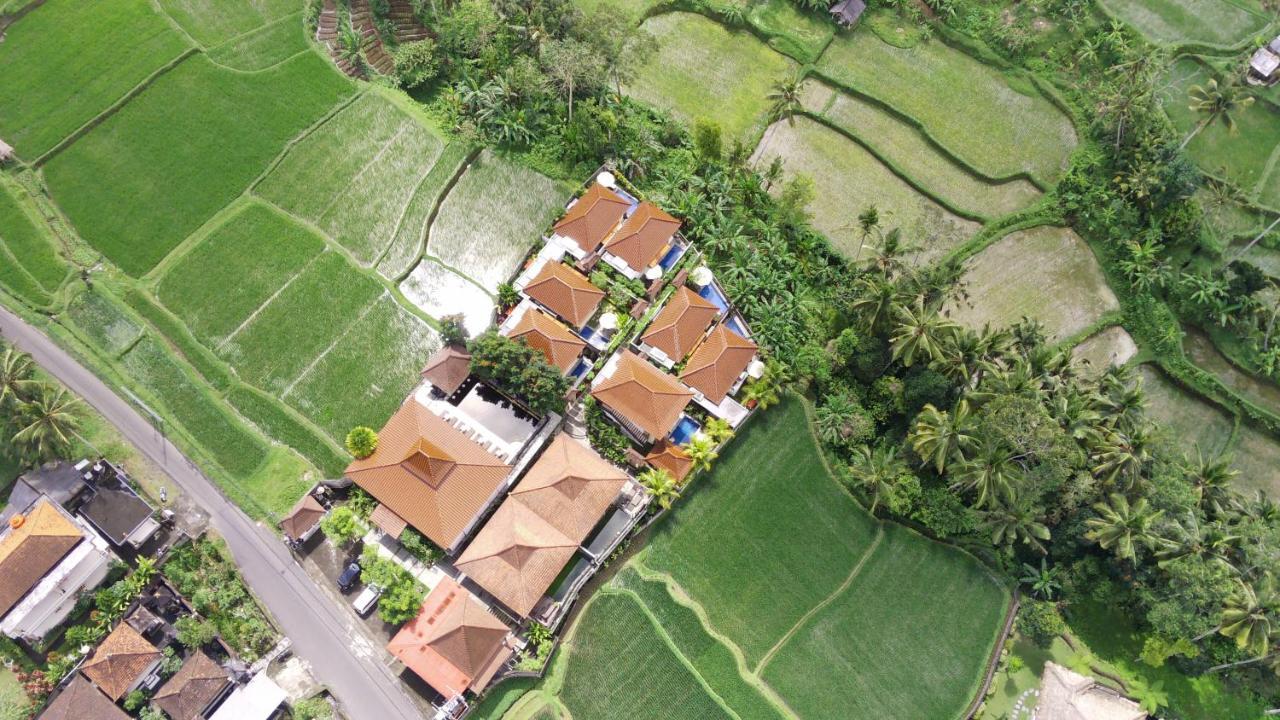 Danakha Villa Ubud Tegallalang  Eksteriør bilde